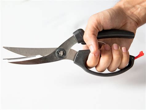 german made kitchen scissors